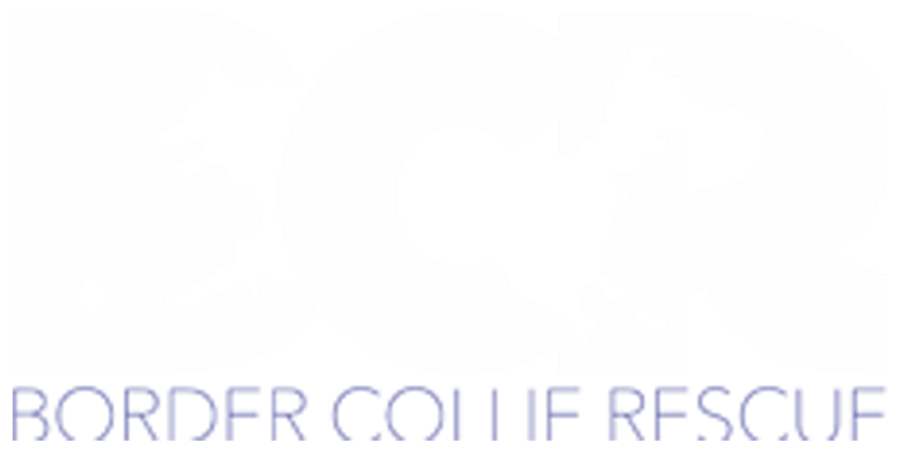 Border Collie Rescue logo